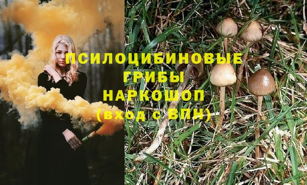 спайс Алексеевка