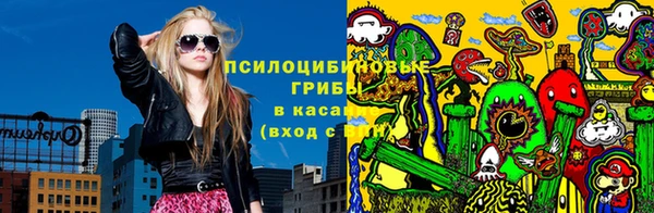 сатива Абаза