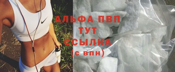 сатива Абаза