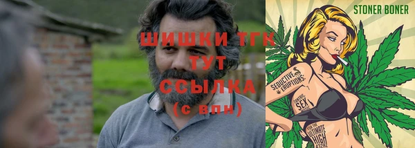 сатива Абаза