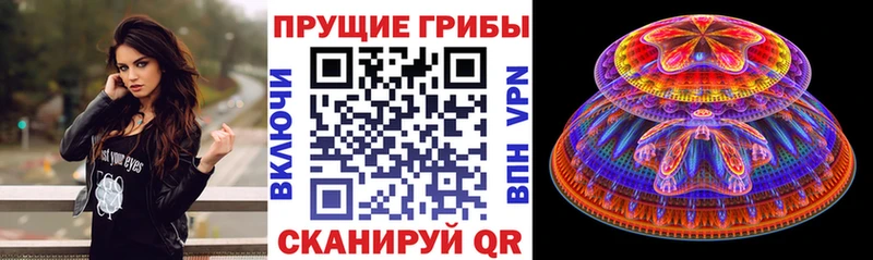 Галлюциногенные грибы Psilocybe  Десногорск 