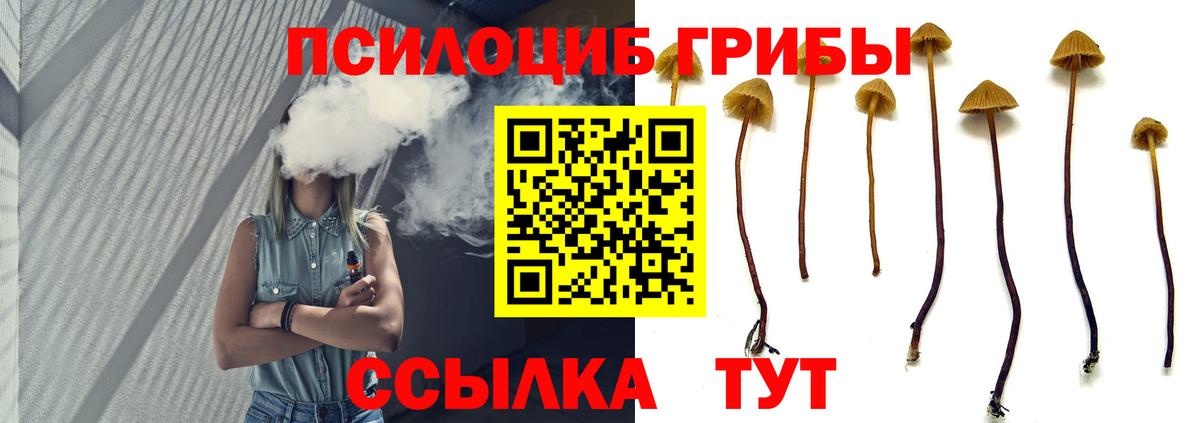 Десногорск  Псилоцибиновые грибы Magic Shrooms  Вход с VPN 